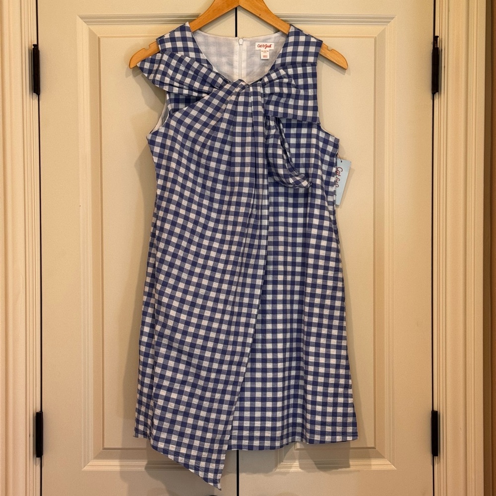 Cat & Jack Blue and White Ruffled Sundress